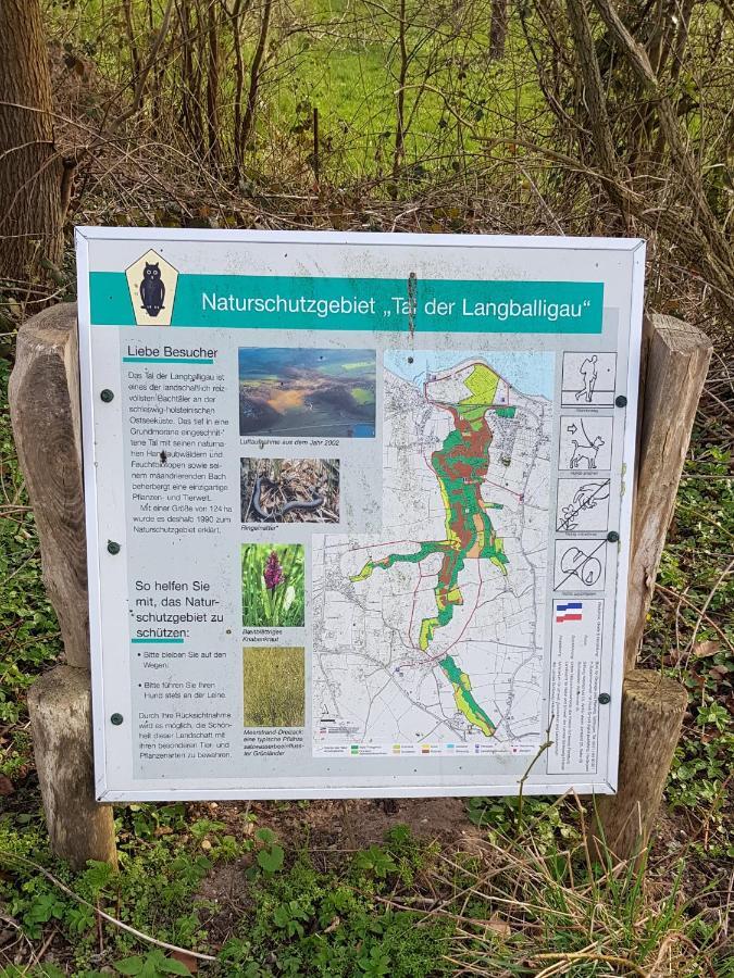 Natur Lodge Haffblick Westerholz Zewnętrze zdjęcie